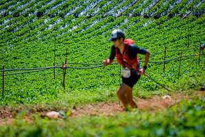 BIB: 
                            <button type="button" onclick="openModal(19164631)" class="btn btn-primary btn-sm float-right btn-popup" data-toggle="modal" data-target=".modal-high-quality">
                        <i class="fas fa-shopping-cart"></i> Add to Cart
                    </button>
                                            <button type="button" onclick="isThisMe(19164631, true)" class="btn btn-success btn-sm float-right btn-popup btn-isme hidden" data-toggle="tooltip" data-placement="bottom" title="นี่คือรูปของคุณใช่ไหม คลิกที่นี่เพื่อเอาเข้าอัลบั้ม">
                        <i class="fas fa-plus"></i> Add to album
                    </button>
                    <button type="button" onclick="isThisMe(19164631, false)" class="btn btn-warning btn-sm float-right btn-popup btn-isnotme hidden">
                        <i class="fas fa-ban"></i> Remove from album
                    </button>